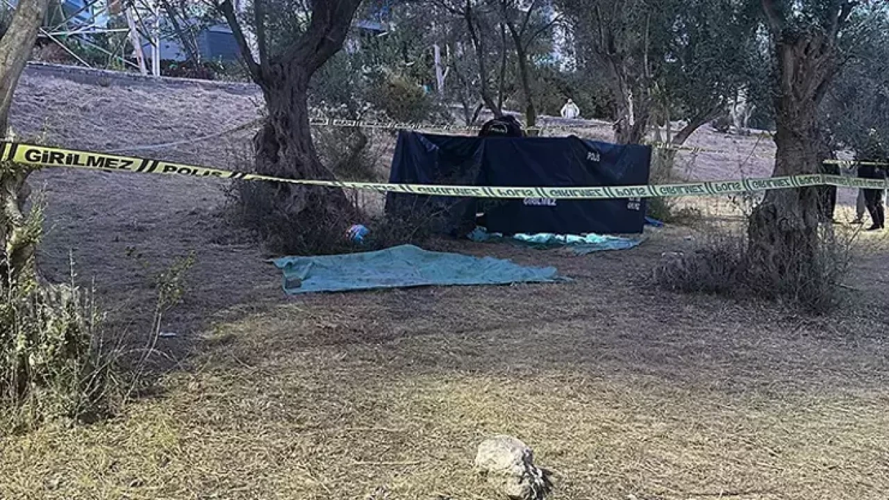 Zeytin ağacından düşen Erol Gül hayatını kaybetti!