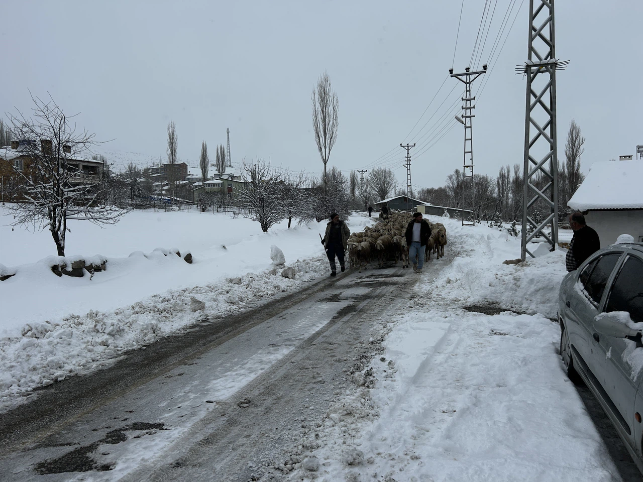 Sert kış en çok hayvancılık yapanları vurdu,  yayladan indiler