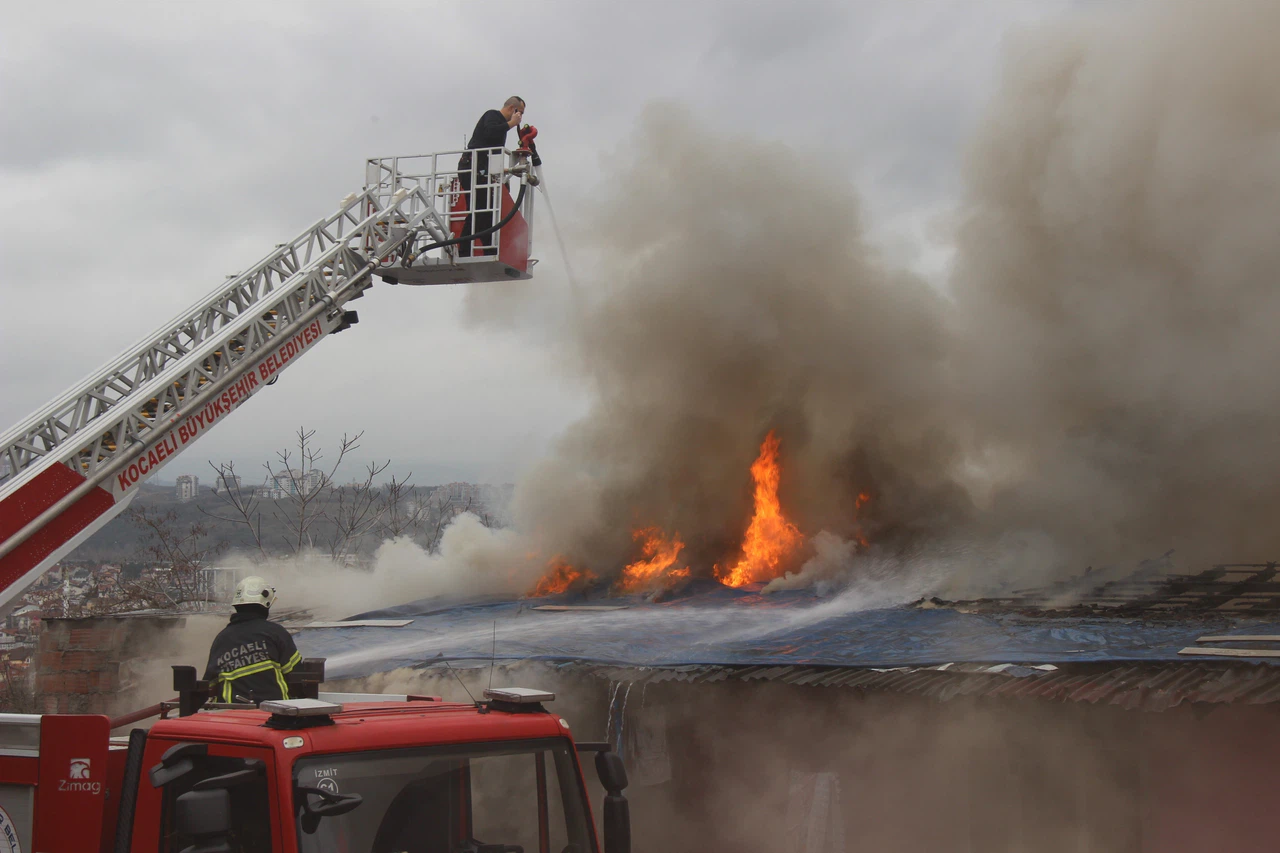 Sokak ortasında korku saçan kişilerin cezası belli oldu