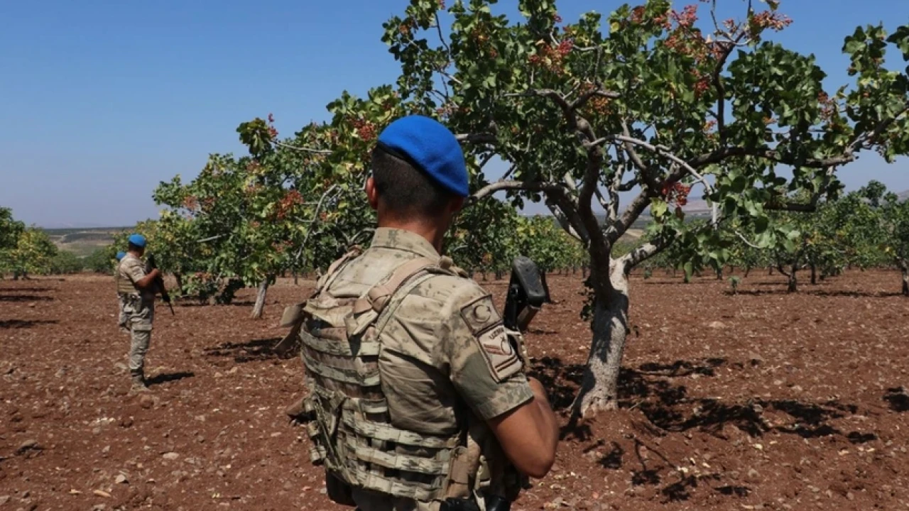 Hasat başladı: Jandarma havadan ve karadan denetim gerçekleştirdi!