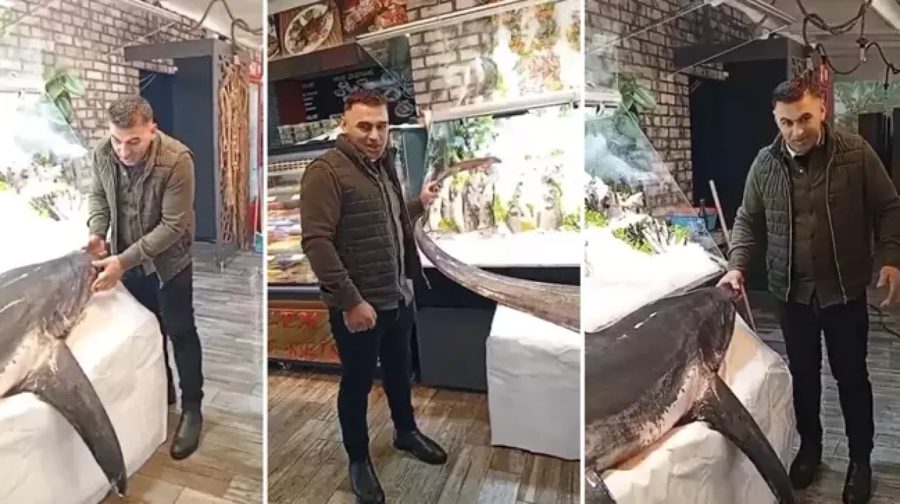Nesli tehlike altındaki köpek balığını avladı!