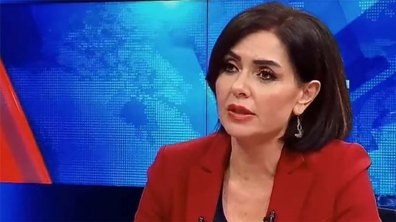 Özlem Gürses gözaltına alındı: TSK'ya IŞİD benzetmesi!