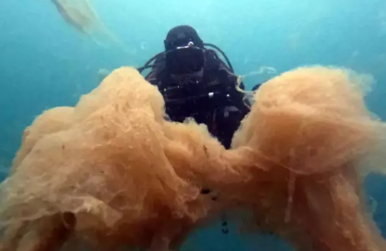 Marmara Denizi'nde büyük tehlike,  işte böyle görüntülendi