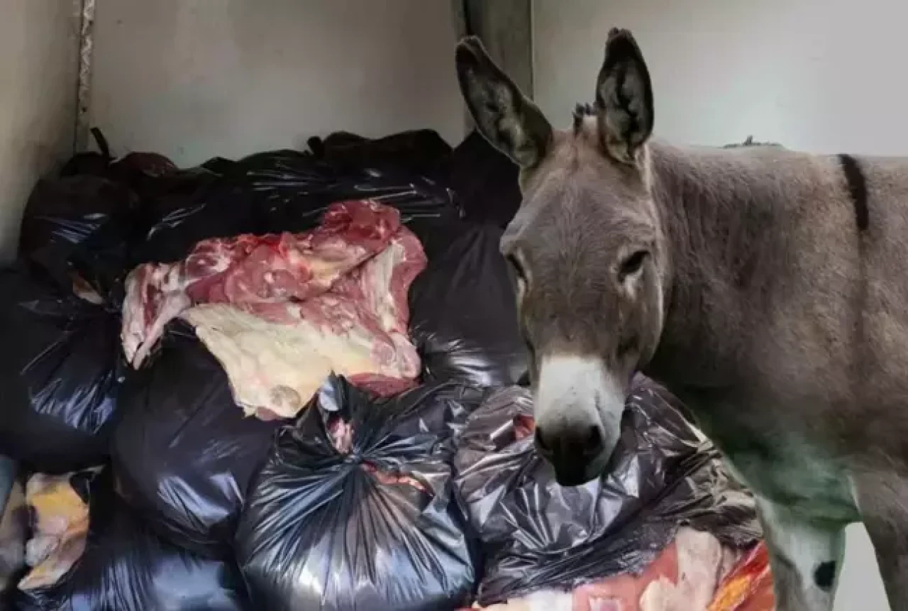 Vatandaşa en çok at ve eşek eti yediren 5 şehir paylaşıldı!