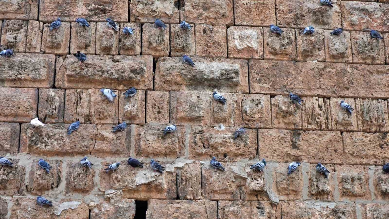 Hadrianus Kapısı: Tarih ve Doğanın Buluştuğu Eşsiz Mekan