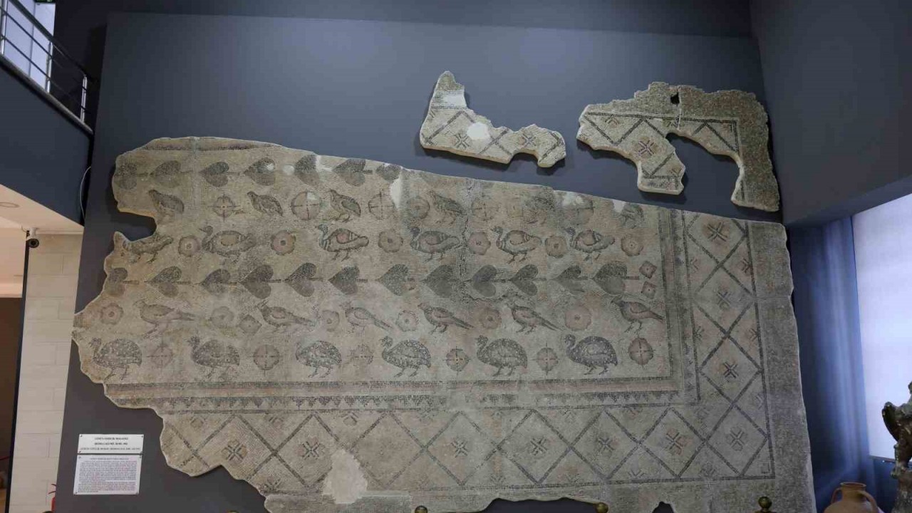 Sivas’ta Roma Dönemi’ne Ait 2 Bin Yıllık Mozaik Hâlâ Ahırda!