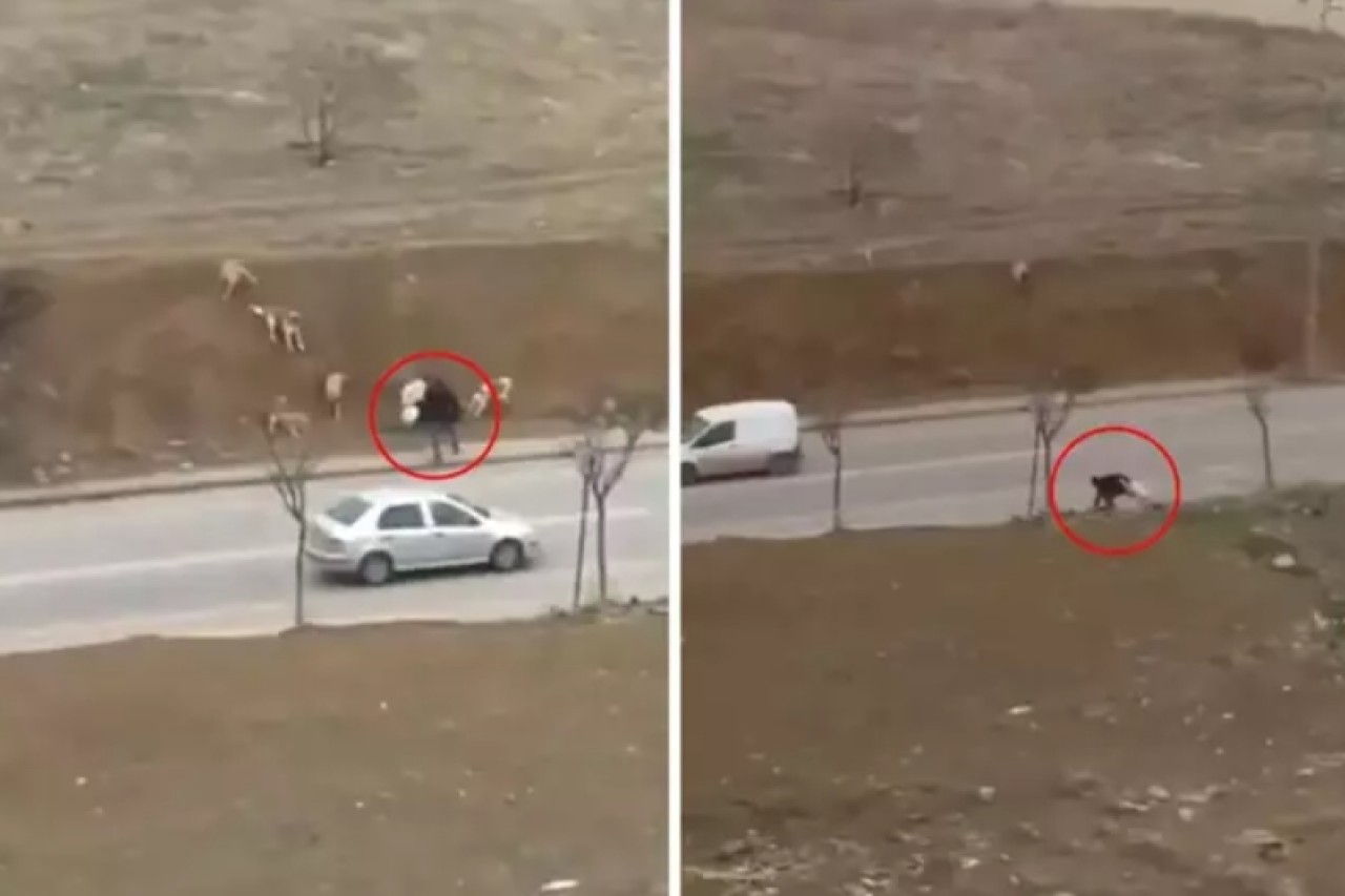 Başkent Ankara'da "İnsanlık ölmüş" dedirten görüntü