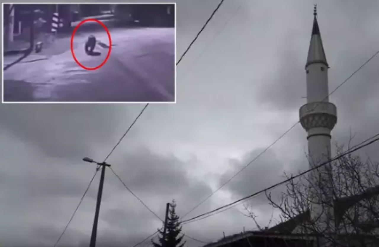 Barınaktan firar eden ayı şehri ayağa kaldırdı