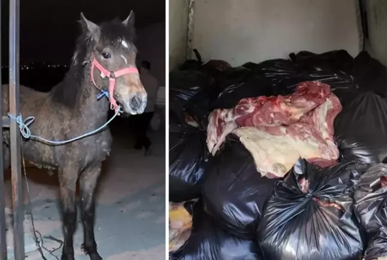 Gıda terörüne darbe: Bakanlık sahtekârları ifşa etti!