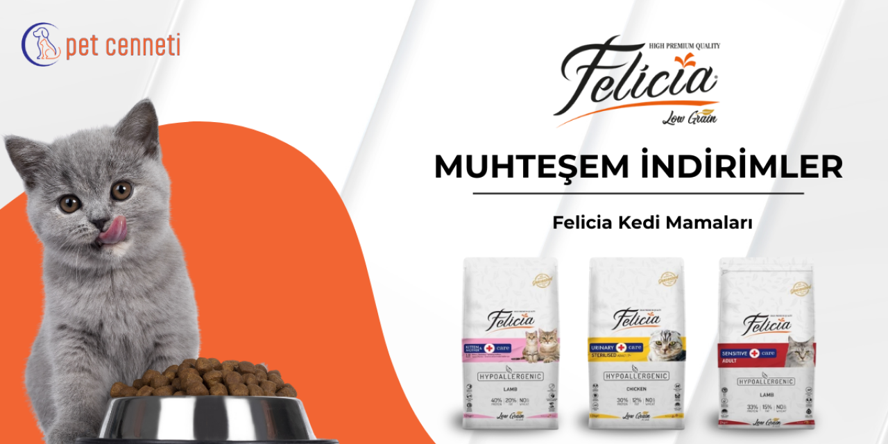 Felicia Kedi Maması ile Kedinizin Beslenme Kalitesini Zirveye Taşıyın