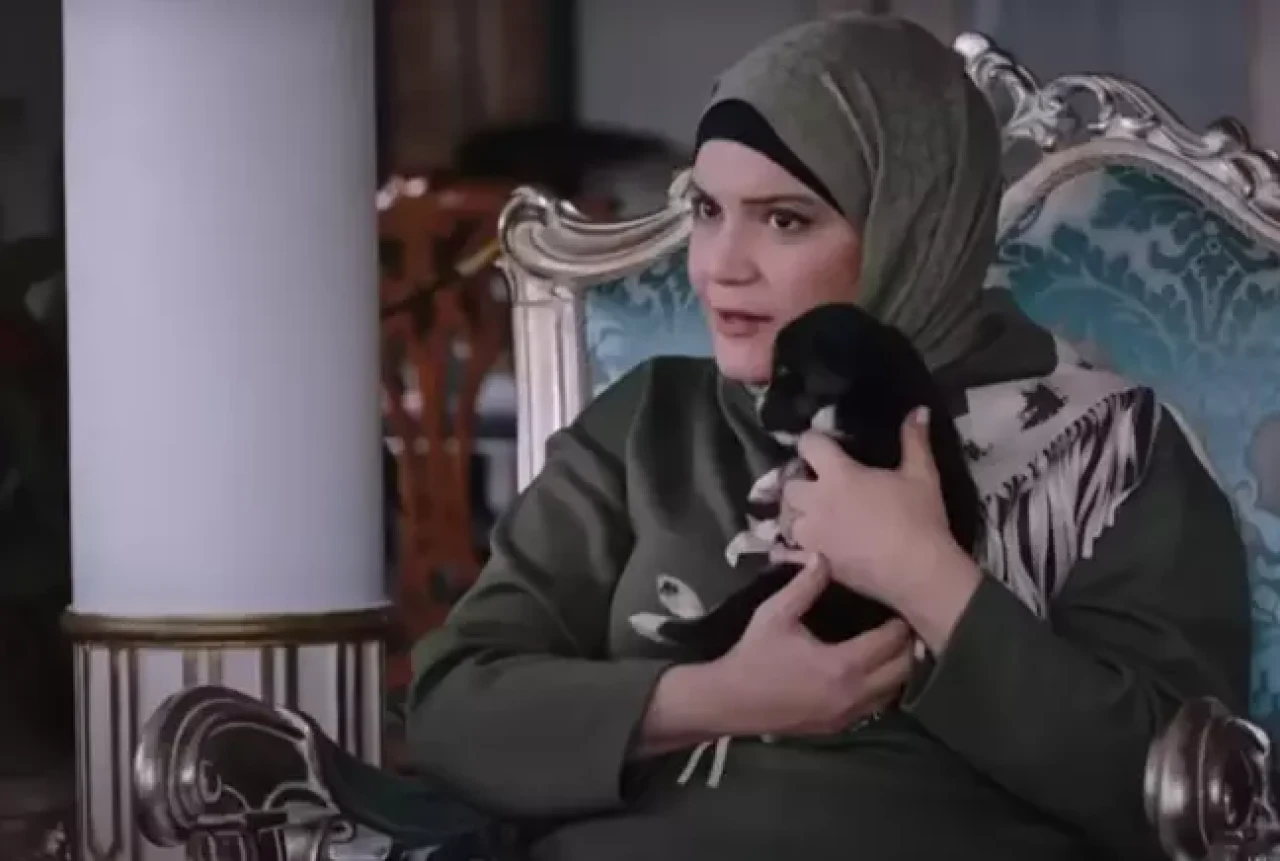 Kızılcık Şerbeti'ndeki sahne bakanlığı harekete geçirdi