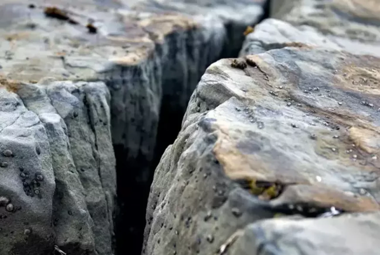 Alman bilim insanlarından Türkiye için endişelendiren keşif!