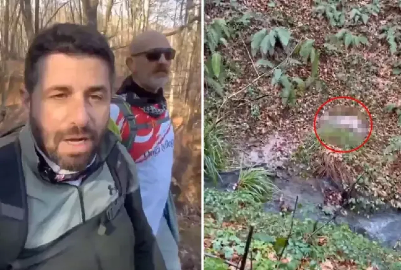 Belgrad Ormanı'nda d.ehşete düşüren olay! Vatandaşlar yetişene kadar parçaladılar