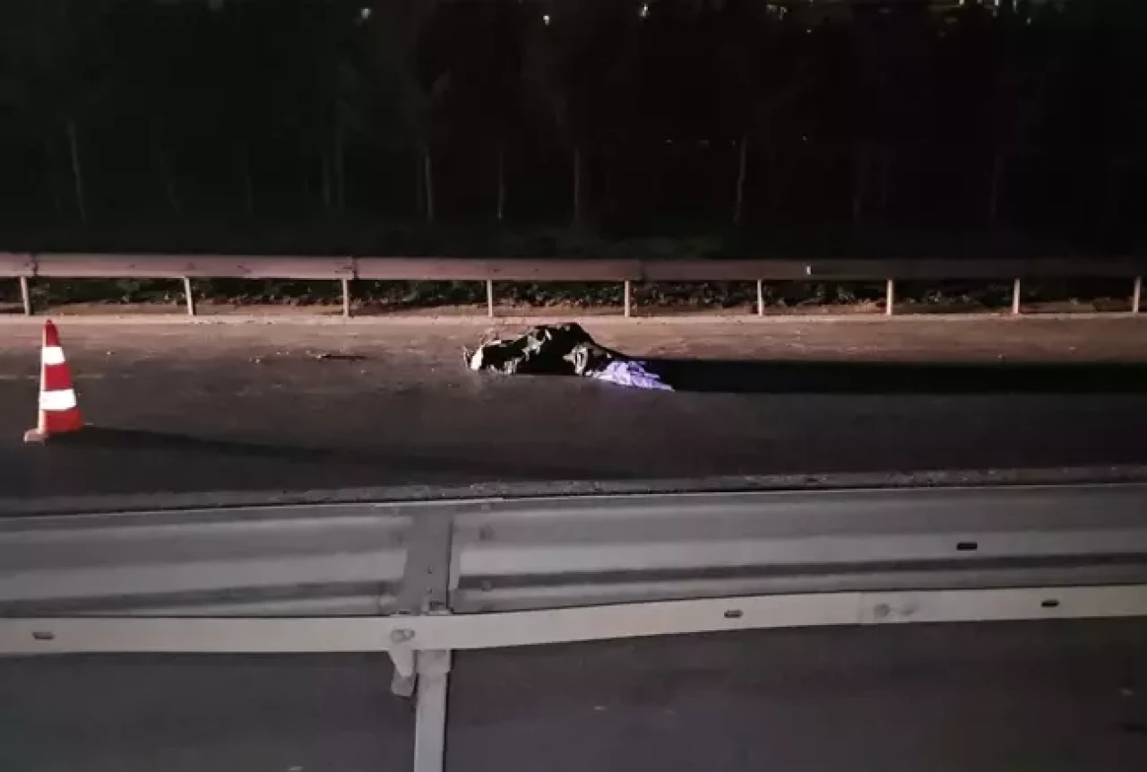 TEM'de yolun ortasında yatan kişiyi ezdi,  acı gerçek sonradan ortaya çıktı