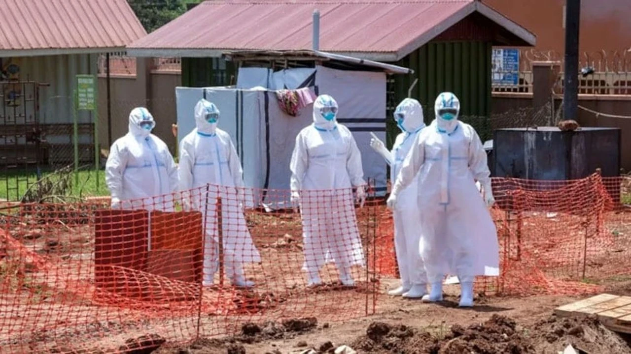 DSÖ'den acil uyarı: Ölümcül Sudan Virüsü dünya çapında yayılıyor