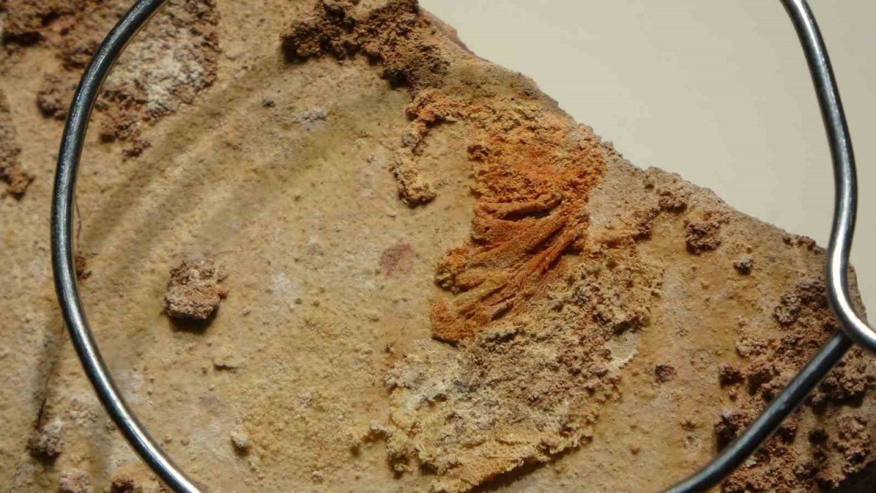 Çorum’da 3.500 Yıllık Hitit Keten Kumaşı İlk Kez Sergilendi!