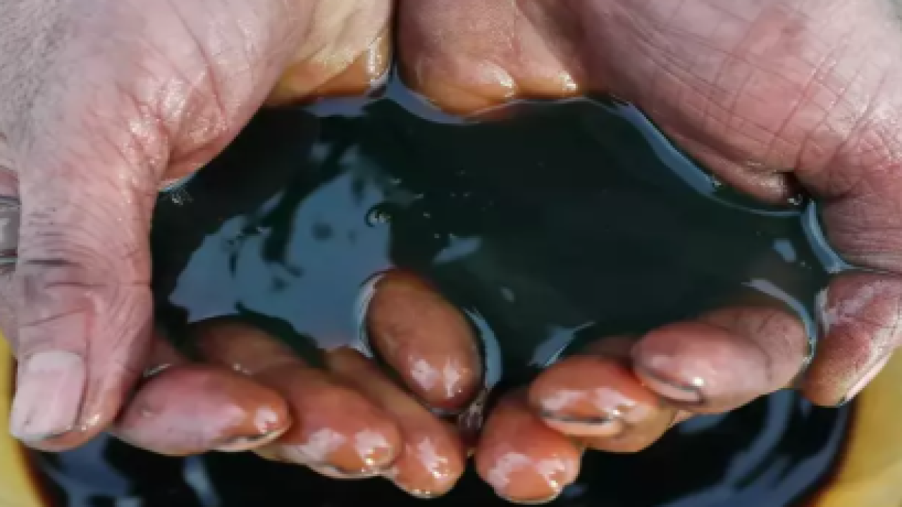 14 yeni petrol ve doğal gaz sahası bulundu