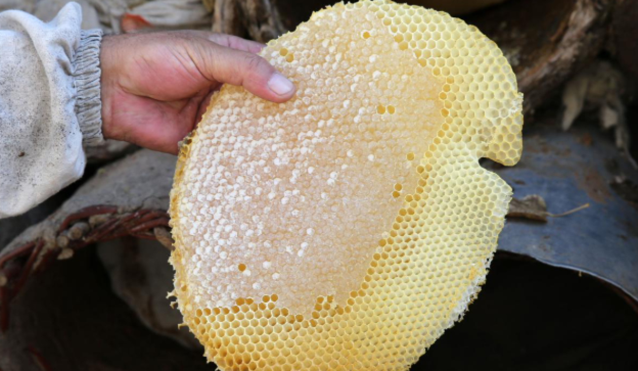 "Bitlis balı" tescillendi