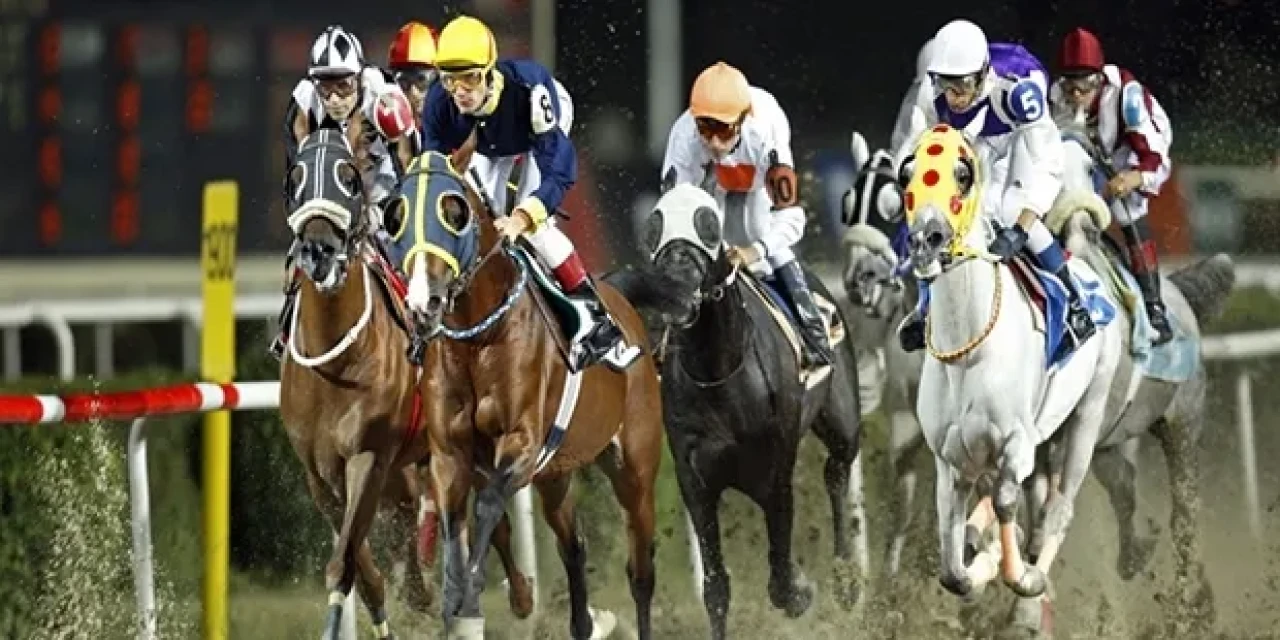 Kocaeli at yarışı sonuçları! 7 Ekim ikramiyesi ganyan kaç lira verdi?