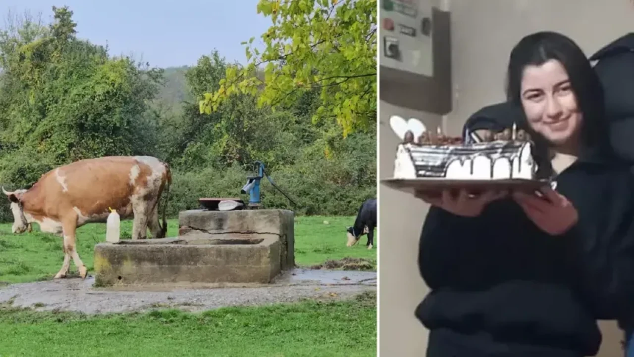 Zonguldak'ta dehşet olay! Kuyudaki ceset Hasret'e ait çıktı