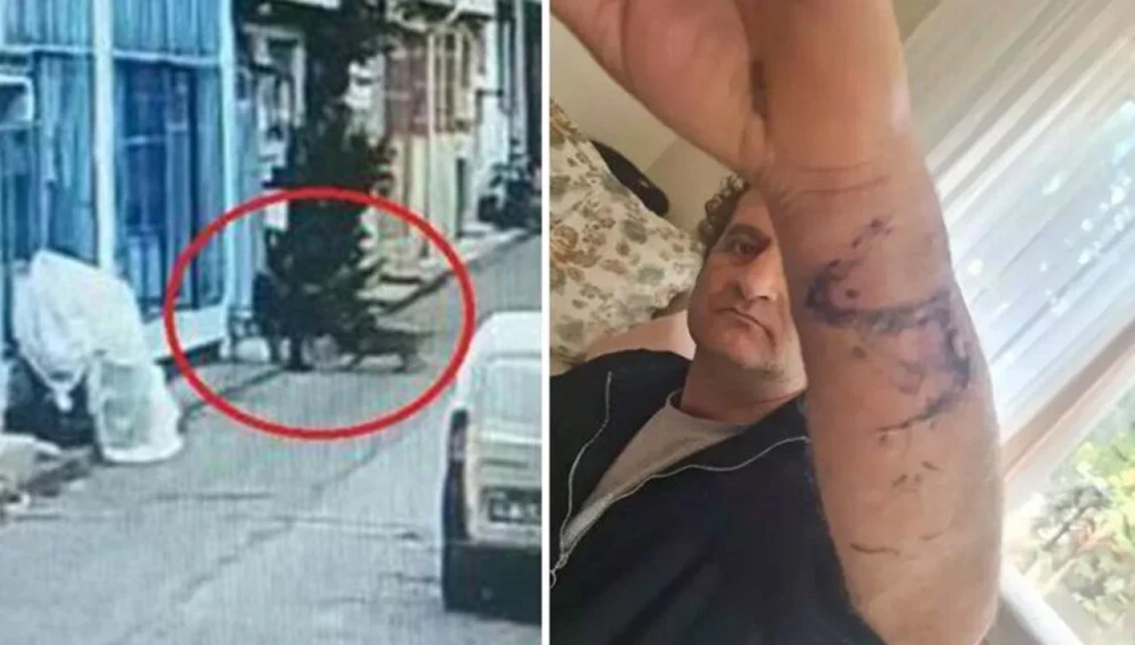 Bursa’da pitbull saldırısı davasında 21 yıl hapis talebi