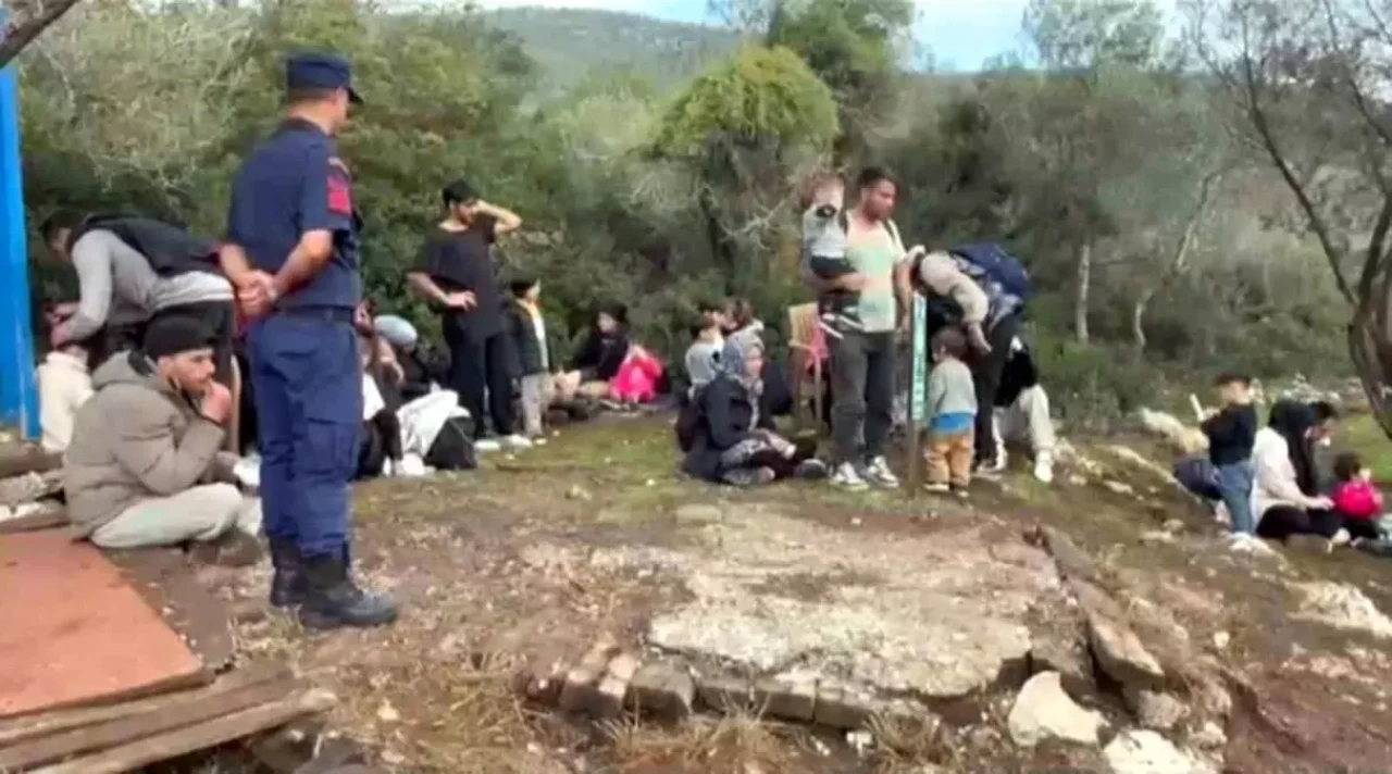 Milas’ta göçmen operasyonu: 33’ü çocuk 74 kişi yakalandı