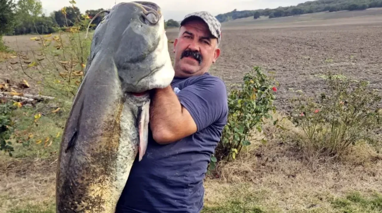 Tekirdağ’da amatör balıkçı 70 kiloluk yayın balığı yakaladı