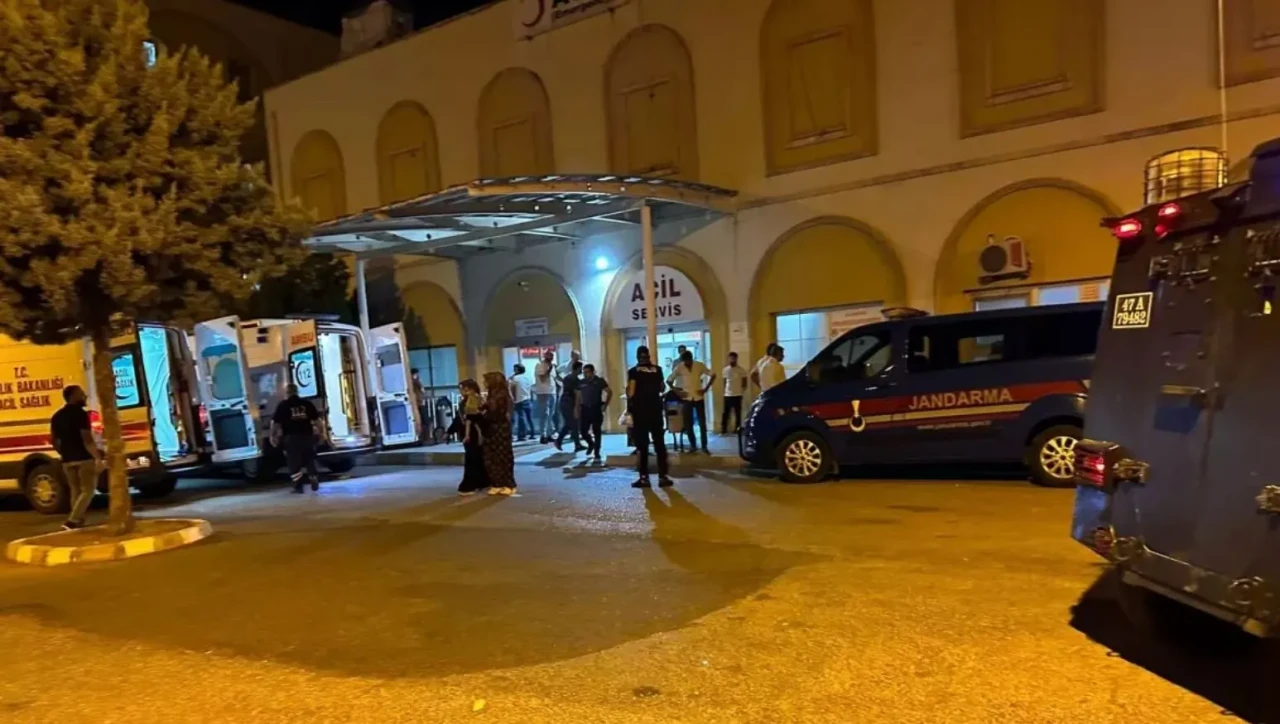 Midyat’ta eşeğiyle yolda giden yaşlı adama otomobil çarptı