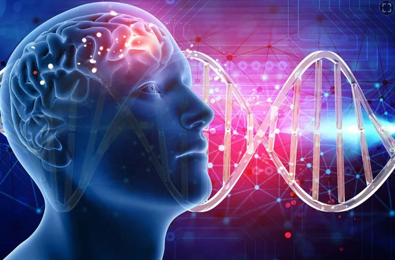 Dünyanın en zeki ülkeleri belli oldu: Türkiye listenin neresinde?