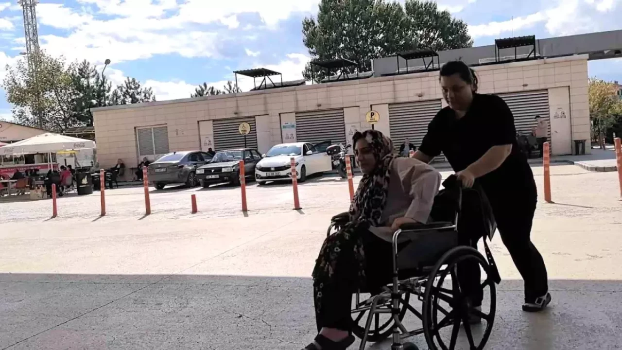 Bursa’da piknikte yılan paniği: Genç kadın hastaneye kaldırıldı