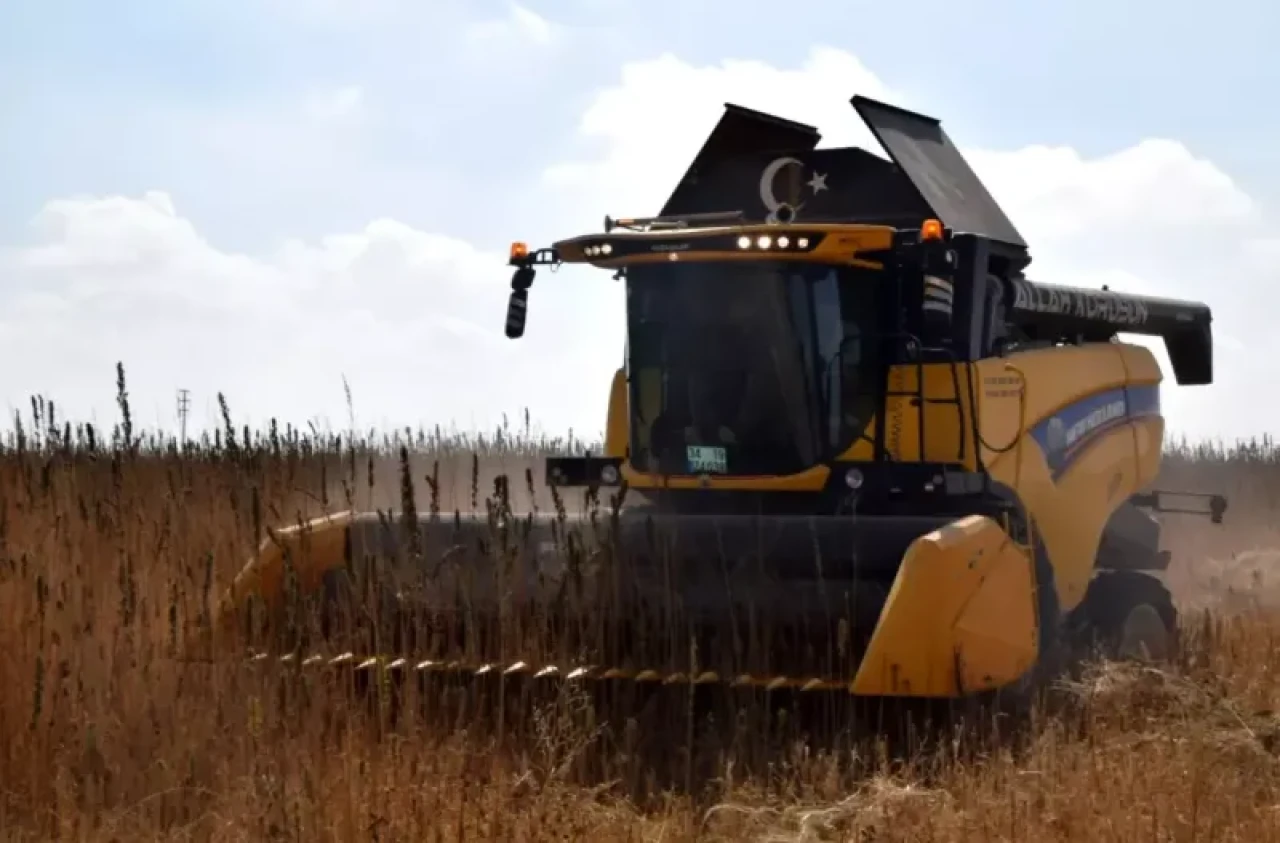 Konya Ovası'nda kenevir hasadı heyecanı