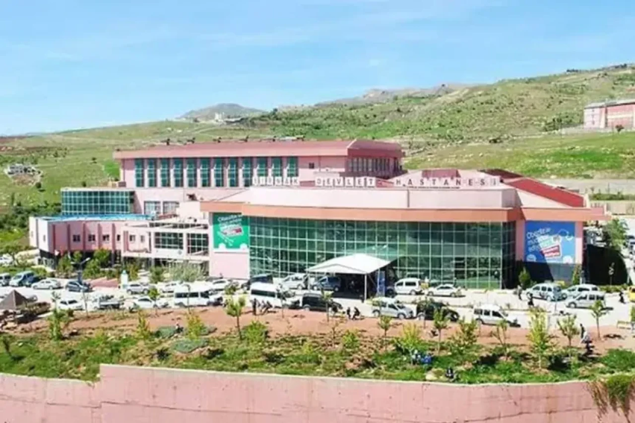 Şırnak'ta evlat vahşeti! Babasını silahla öldürdü