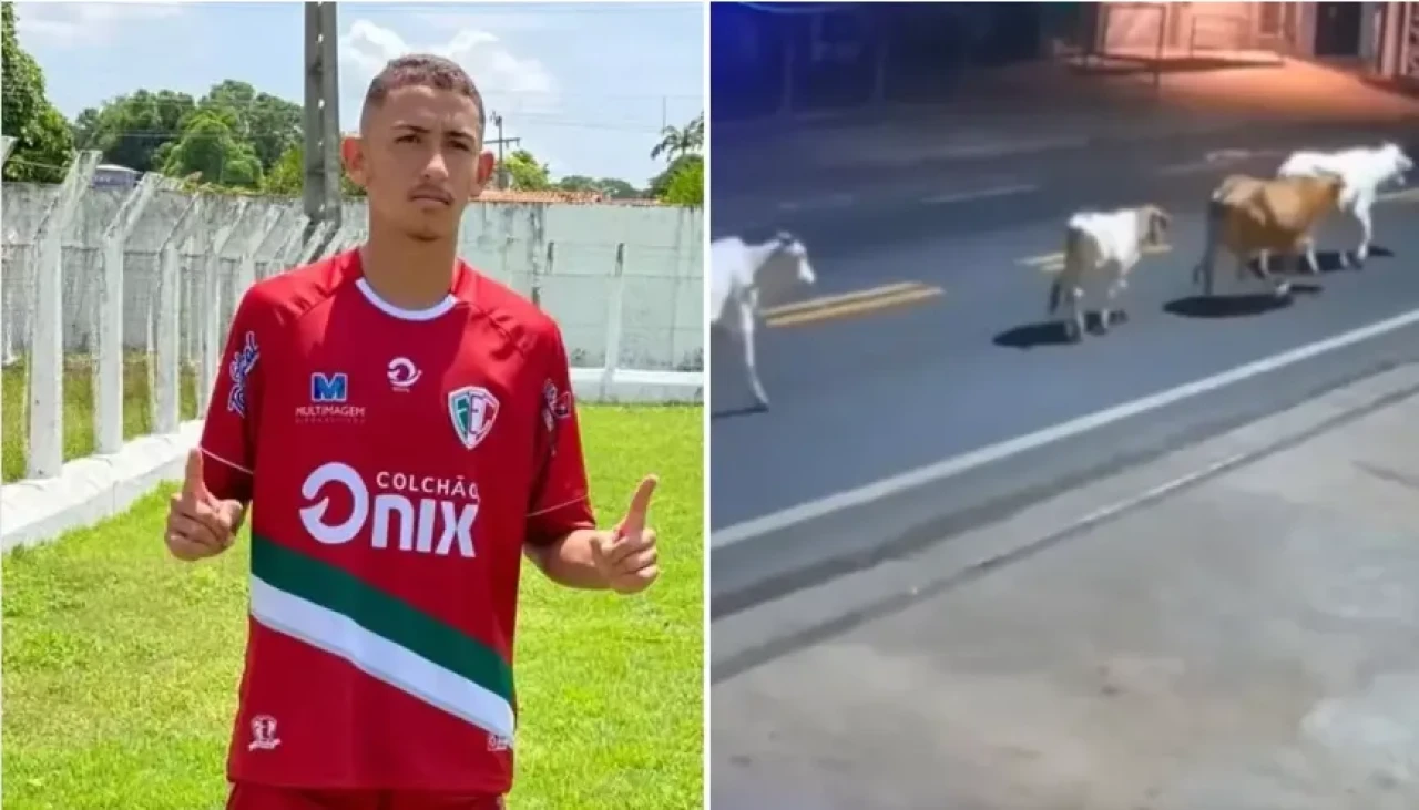 Başıboş inekler, genç futbolcunun sonu oldu