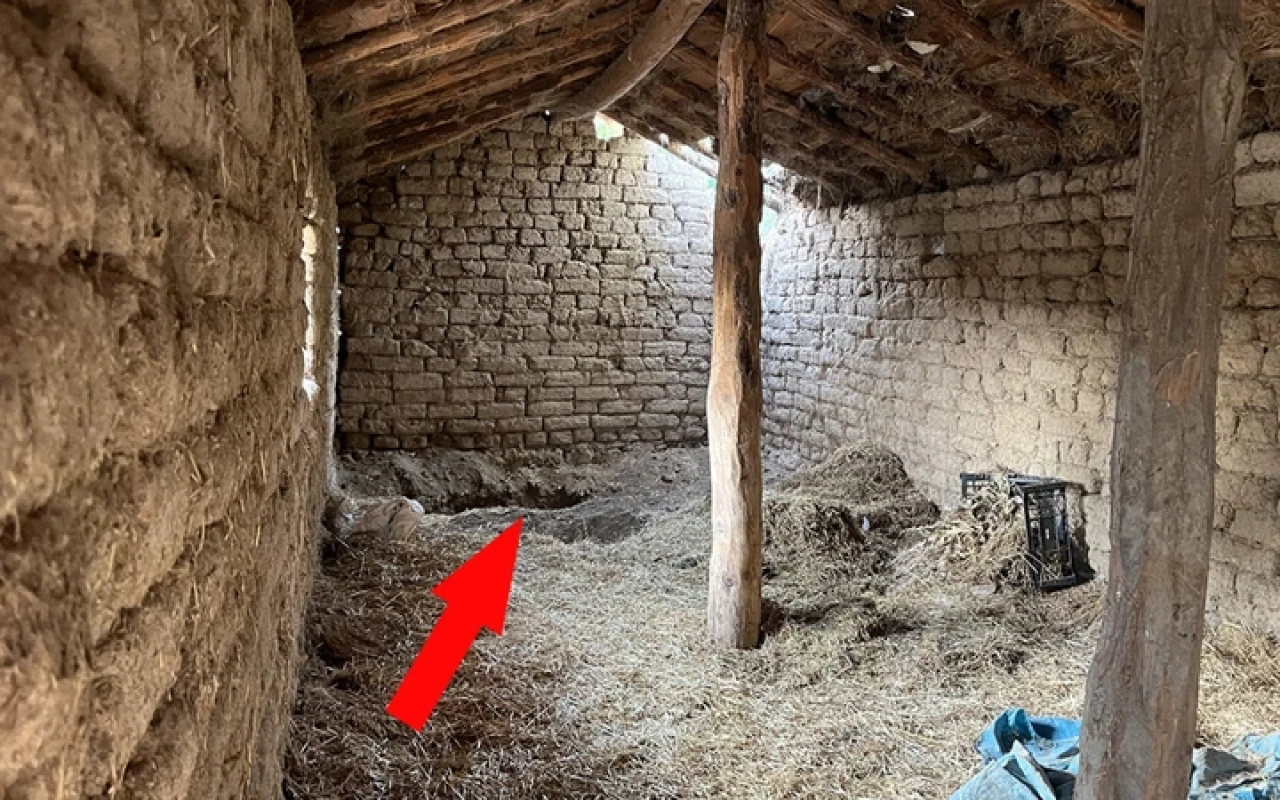 14 yıldır aranıyordu! Vahşet meğer kardeşi öldürüp bakın nereye gömmüş..