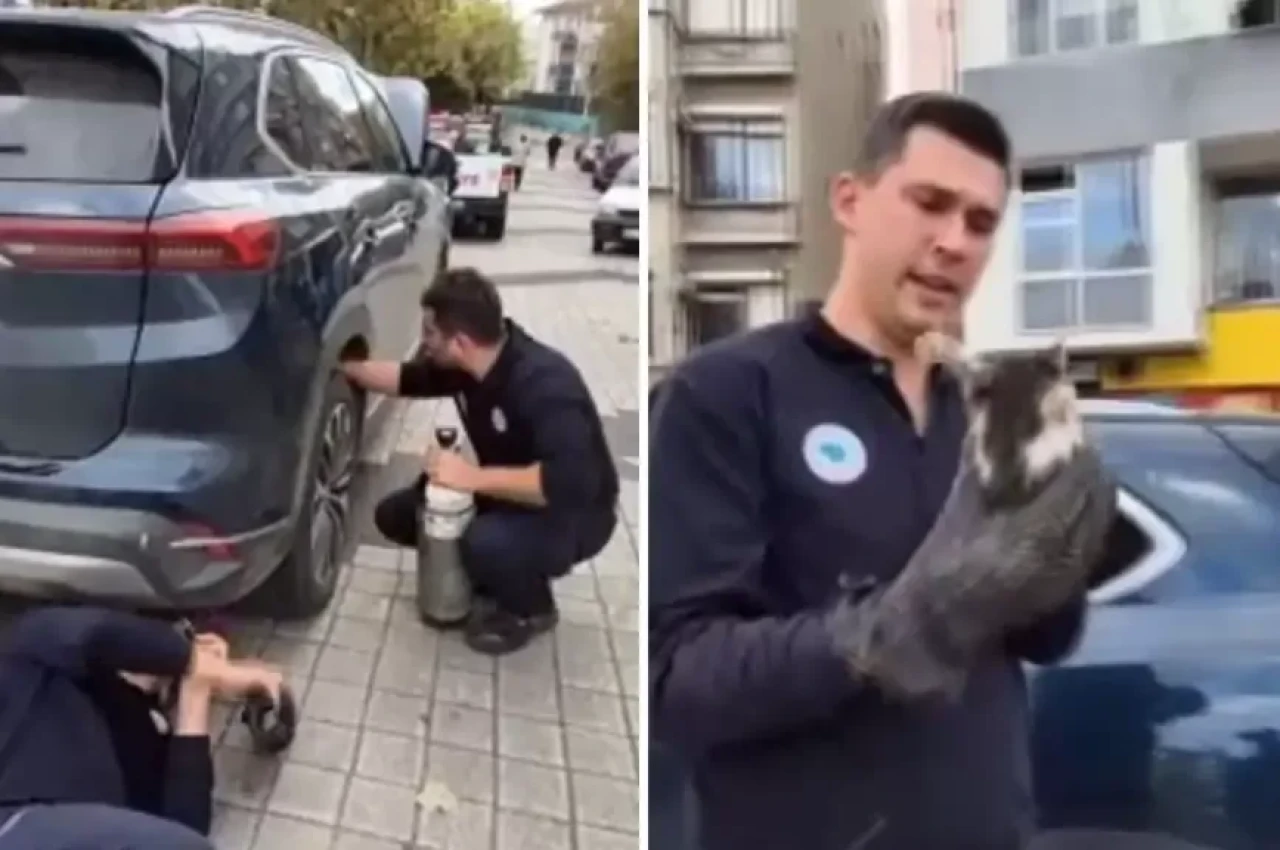 Otomobile sıkışan kediyi hava tüpü kullanarak çıkardılar