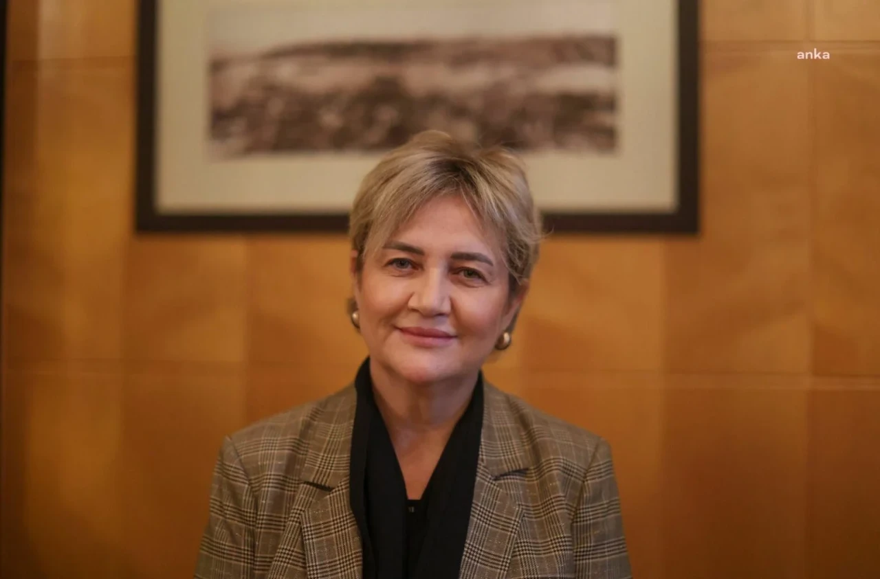 İpek Elif Atayman kimdir, nereli?