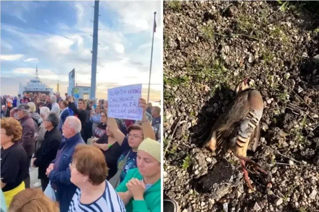 Paşalimanı Adası'nda avcılar protesto edildi
