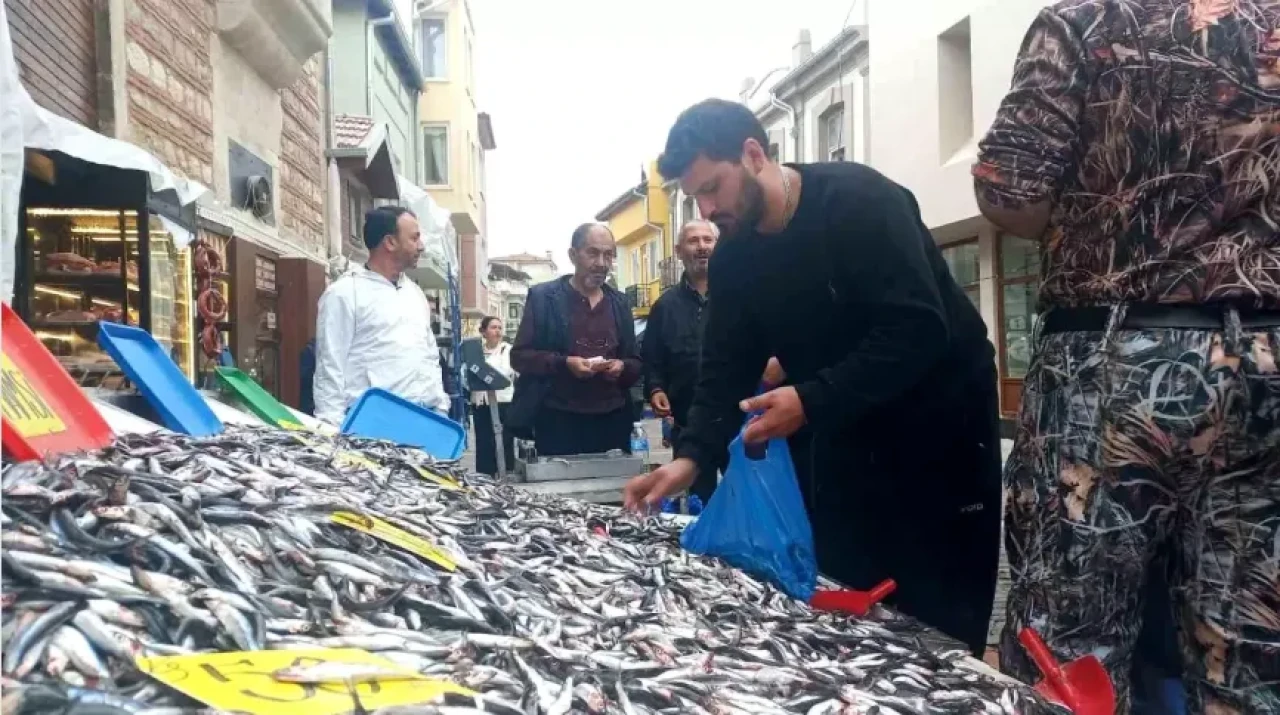 Edirne'de hamsi fiyatlarında rekor düşüş: Vatandaşlar adeta akın etti