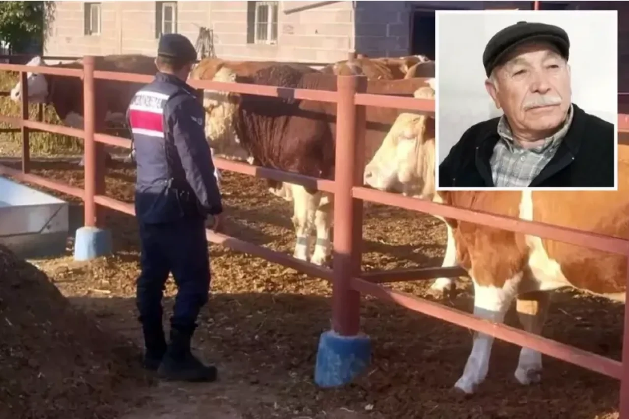 Beslediği hayvan yaşlı adamın sonu oldu!