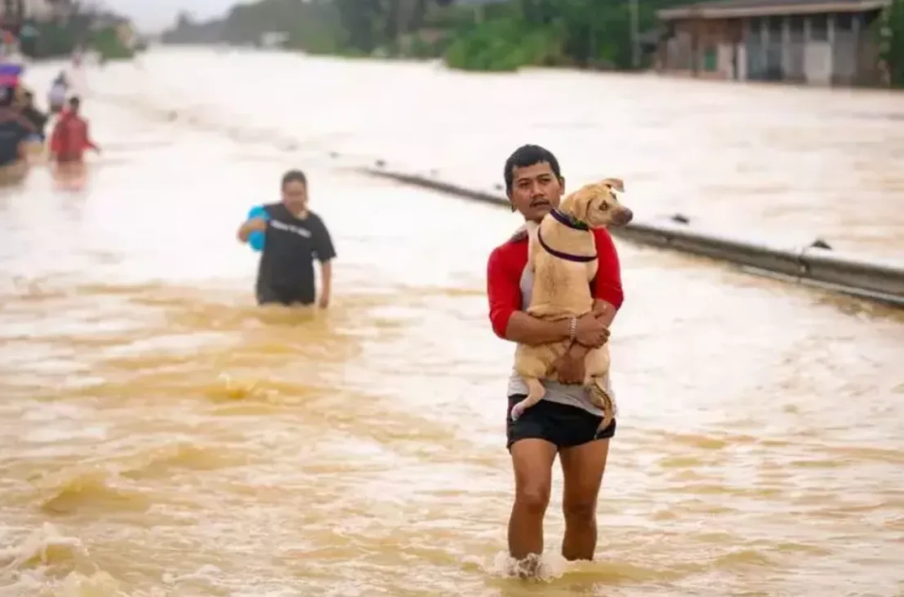 Tayland'da sel felaketi: Olağanüstü hal ilan edildi