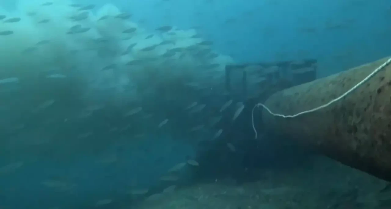 Su altı kamerasıyla belgelendi: Çanakkale Boğazı’nda pis su denize akıtılıyor