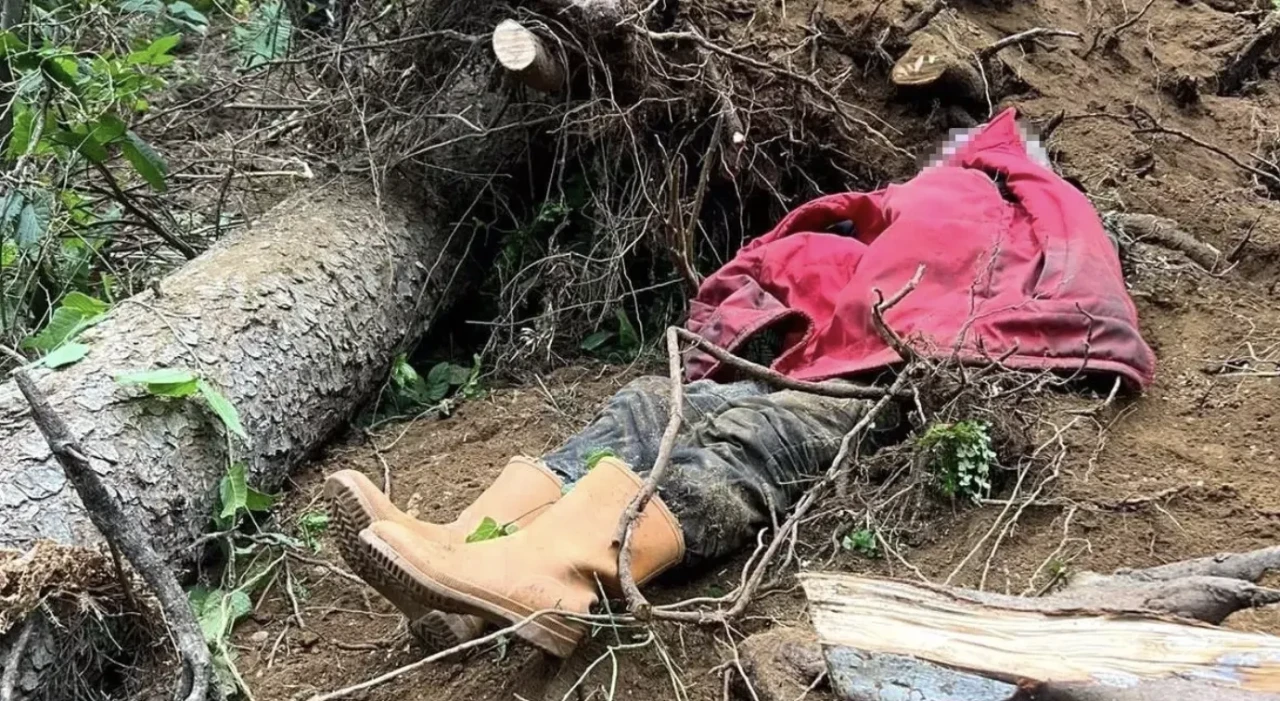 Trabzon'da devrilen ağaç can aldı