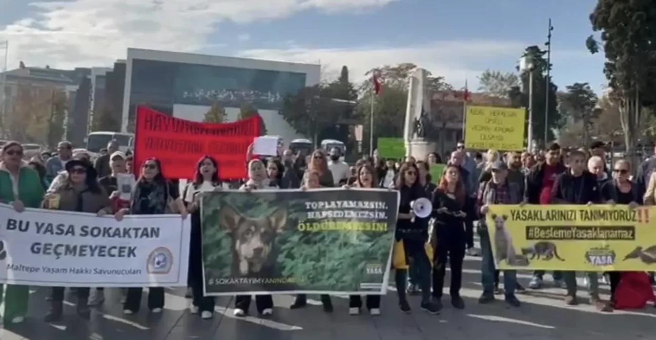 İstanbul’da hayvan hakları savunucuları besleme yasaklarını protesto etti