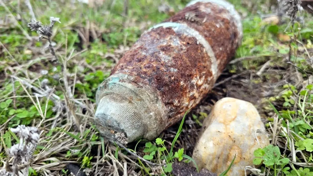 Edirne'de mantar toplarken patlamamış top mermisi bulundu