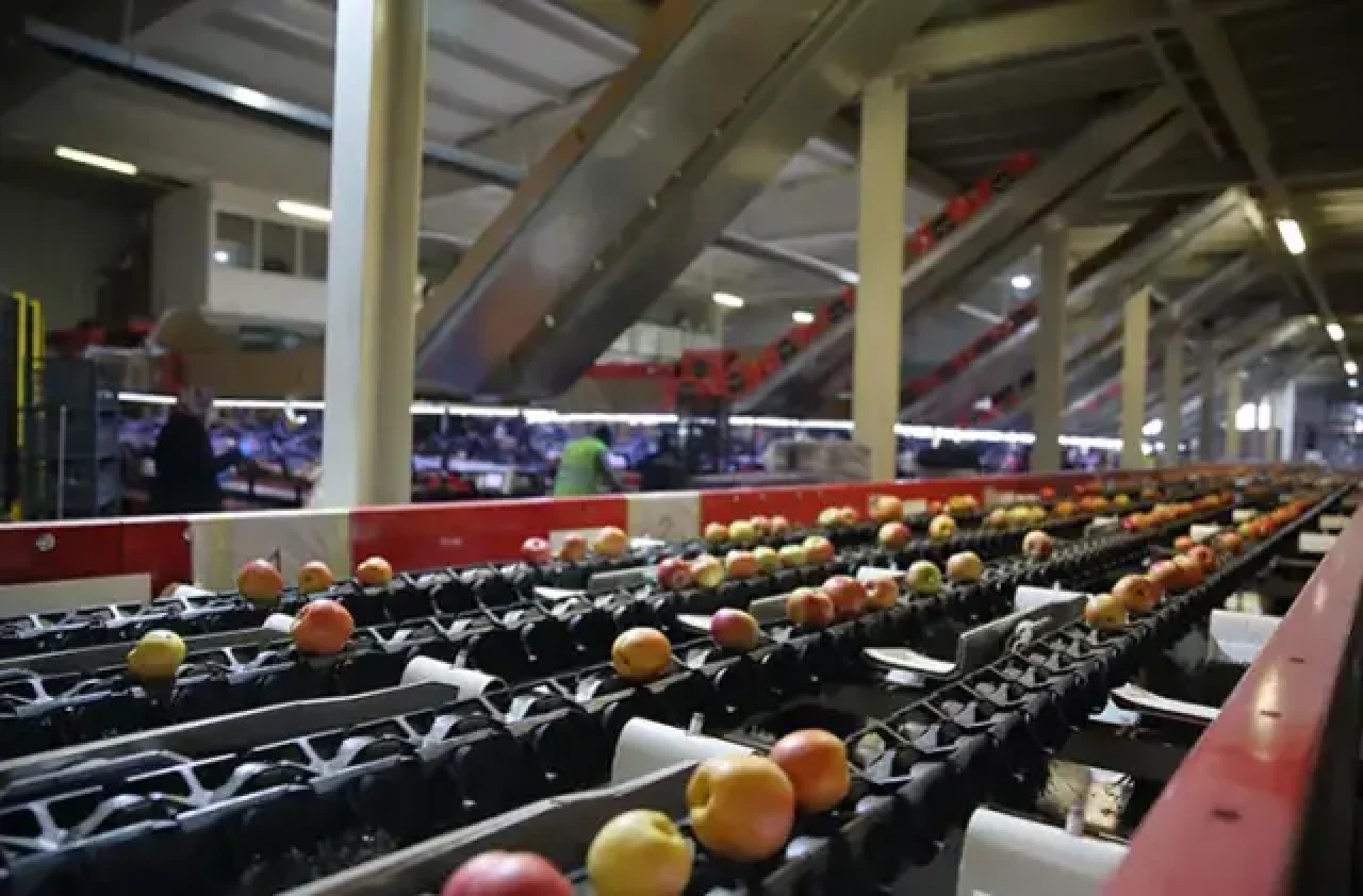 25 ülkeye ihracat yapan Saraylım Tarım konkordato talep etti