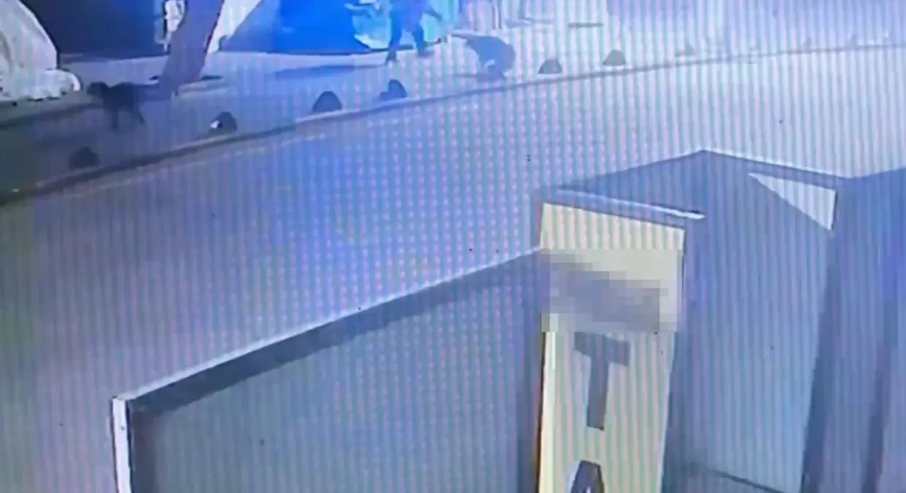 Kuşadası’nda emekli astsubay sokak köpeğini vurdu