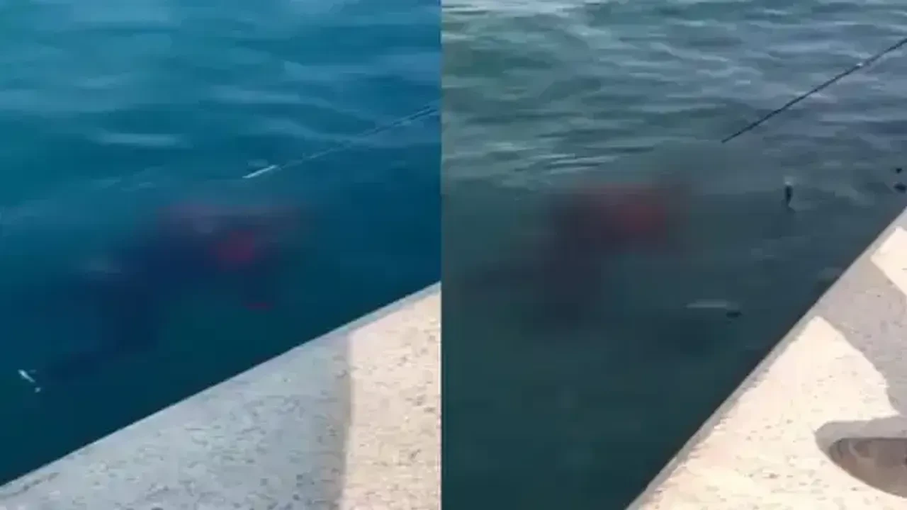 Boğaz'da bulunan cesedin sırrı çözüldü