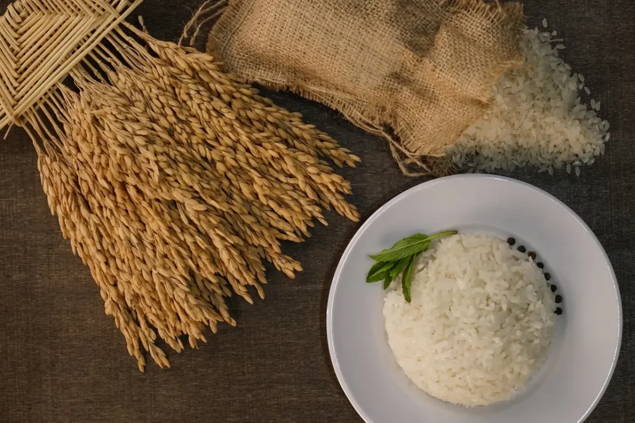 İpsala Pirinci Avrupa tescilli oldu