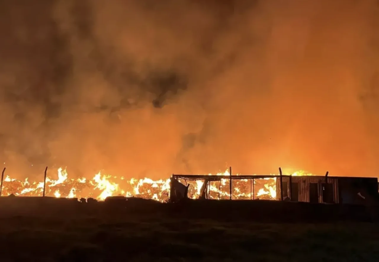 İzmir'de çöp depolama alanında yangın: Söndürme çalışmaları sürüyor