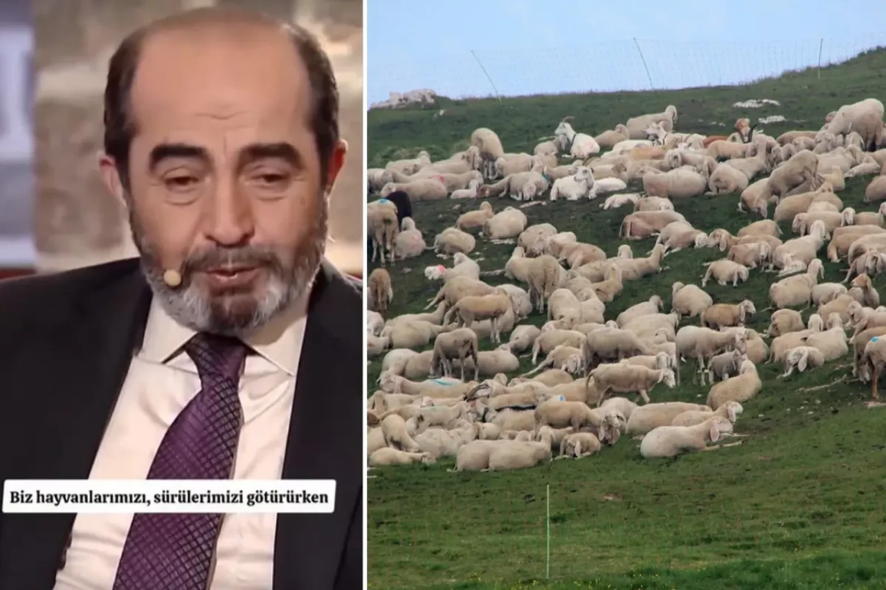 Koyunların davranışı şehit mezarını ortaya çıkardı: 90 yıllık naaş bozulmamış halde bulundu